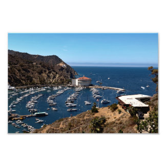 Foto Ilha Catalina papais noeis