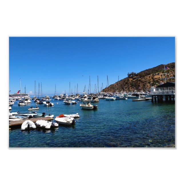 Foto Ilha Catalina papais noeis (Frente)