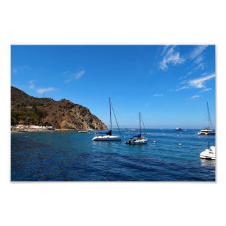 Foto Ilha Catalina papais noeis