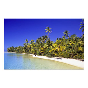 Foto Ilhas Cook com Palm na praia