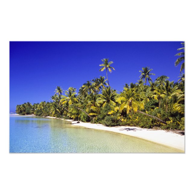 Foto Ilhas Cook de praia com Palm 6 (Frente)