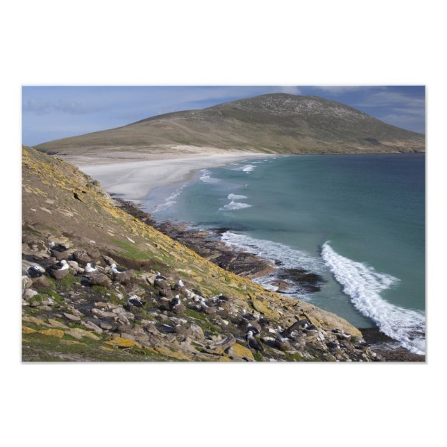 Foto Ilhas Falkland, West Falkland, Saunders (Frente)