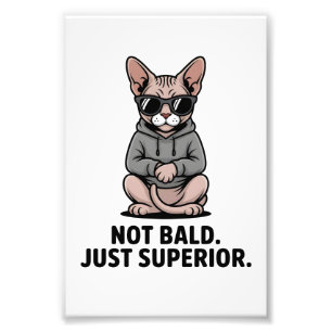 Foto Ilustração de Atitude de Gato Sphynx Superior