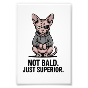 Foto Ilustração de Atitude de Gato Sphynx Superior