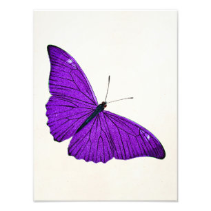 Foto Ilustração de Borboleta Roxa Escura Vintage Século