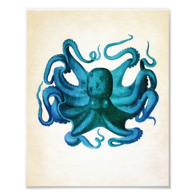 Foto Ilustração de Octopus de Aquarela (Frente)