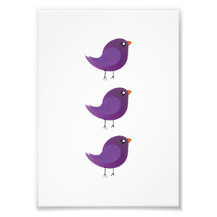 Foto Ilustração de Passarinho Roxo Fofo