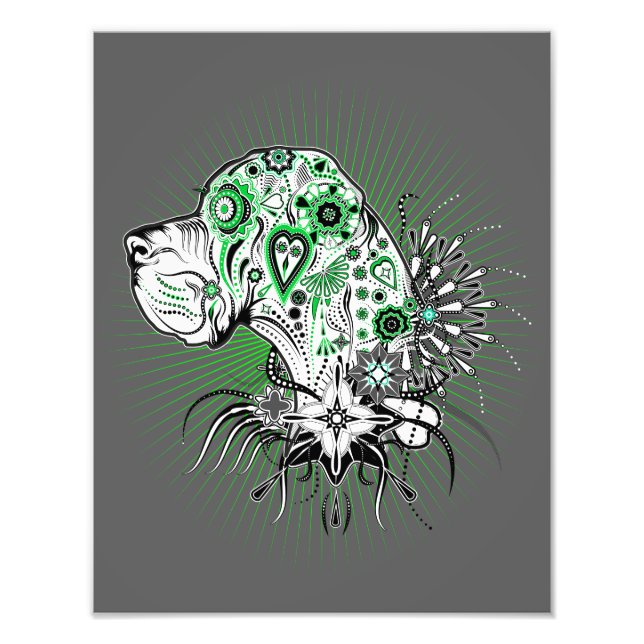 Foto ilustração do Dogue Alemão (Frente)