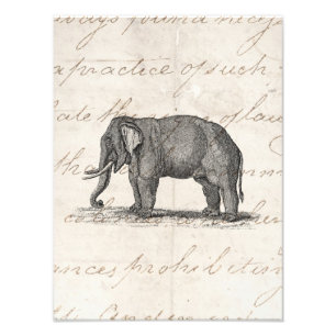 Foto Ilustração do elefante dos 1800s do vintage -