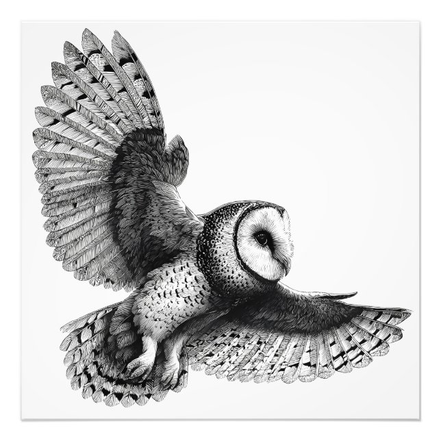 Foto Ilustração Elegante Black White Barn Owl (Frente)