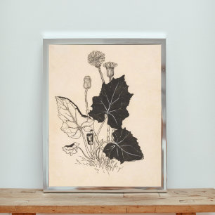 Foto Ilustração Floral Preta e Branca