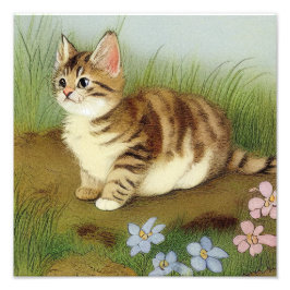 Foto Ilustração Vintage Kitten com Flores