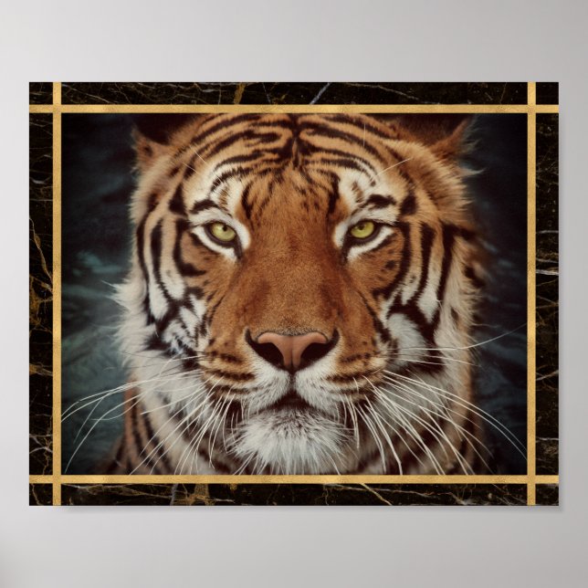 Foto Imagem Impressa Poster da Face do Tigre (Frente)