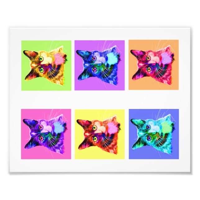 Foto impressão 8x10" retrato arco-íris/gato branco (Frente)