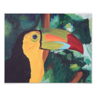 Foto Impressão da arte: Toucan