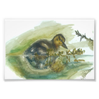 Foto Impressão de aquarela