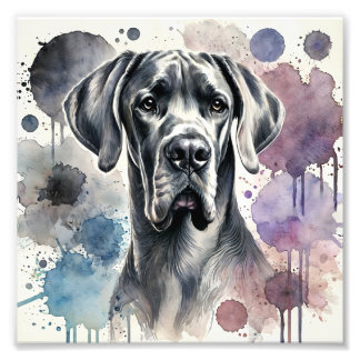 Foto Impressão de Aquarela de grande dane