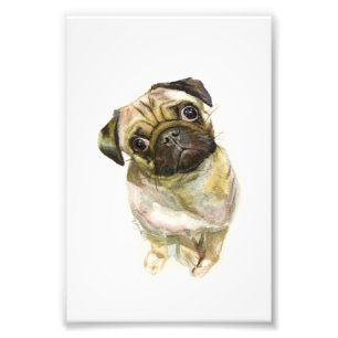 Foto Impressão de Arte de Cara Pug Cachorro de Pug