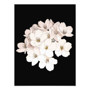 Foto Impressão de Arte de Flor de Cerejeira Exquisita