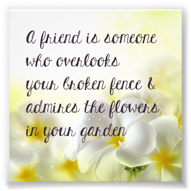 Foto Impressão de Cota Amigo (Frente)