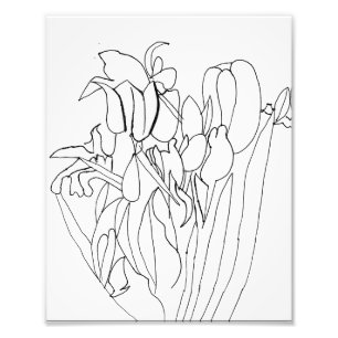 Foto Impressão de Desenho das Flores de Linha