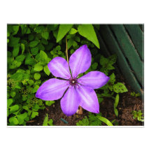 Impressão de flor roxa