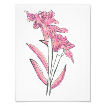 Impressão de Orquídea Rosa