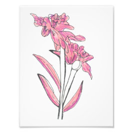 Foto Impressão de Orquídea Rosa