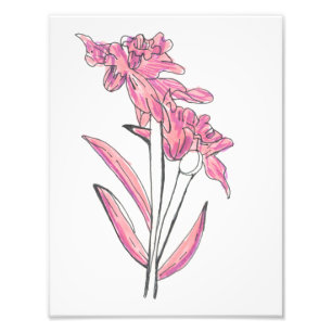 Foto Impressão de Orquídea Rosa