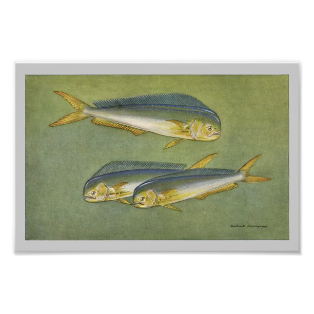 Foto Impressão de Peixes de Golfinhos (Frente)