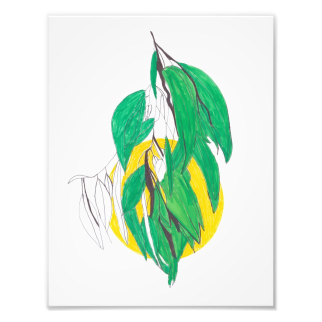 Foto Impressão de ramo de Eucalipto (Frente)