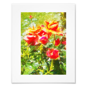 Foto IMPRESSÃO de Rosas laranja KODAK