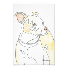 Foto Impressão do Cachorrinho Dourado