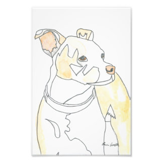 Foto Impressão do Cachorrinho Dourado