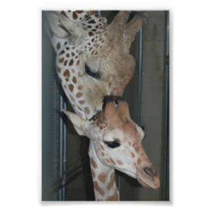 Foto Impressão do Grupo 4X6 nº 4