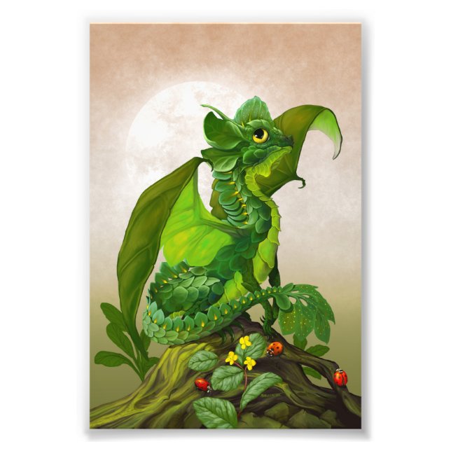 Foto Impressão do Spinach Dragon 4x6 (Frente)
