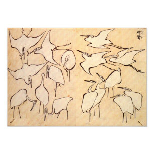 Foto Impressão dos guindastes de Hokusai