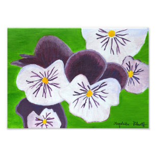 Foto Impressão dos Pansies