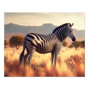 Foto Impressão Fotográfica-Zebra