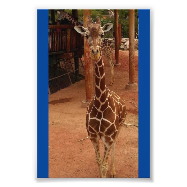 Foto Impressão nº 2 de 4X6 (Frente)