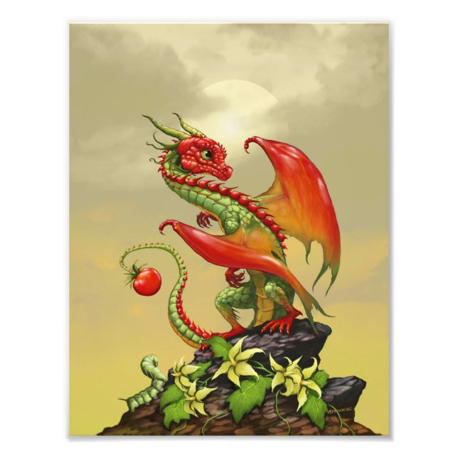 Foto Impressão Tomato Dragon 8,5x11 (Frente)