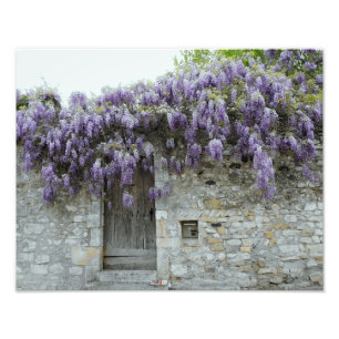 Foto IMPRESSÃO - Wisteria Viviers França