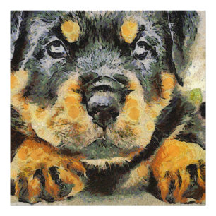 Foto Impressionista Rottweiler - Retrato do Puppy