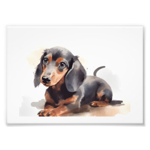 Foto Impressões de Berçário de Filhotes e Sala de Crian