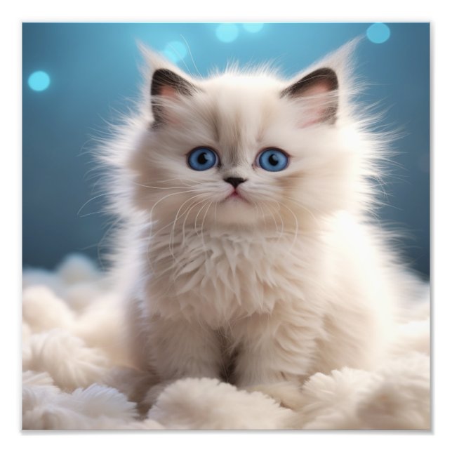 Foto Impressões de Berçário de Gatinhos e Quarto de Cri (Frente)