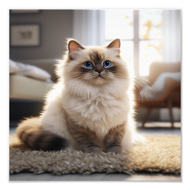 Foto Impressões de Berçário de Gatinhos e Quarto de Cri (Frente)