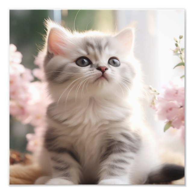 Foto Impressões de Berçário de Gatinhos e Quarto de Cri (Frente)