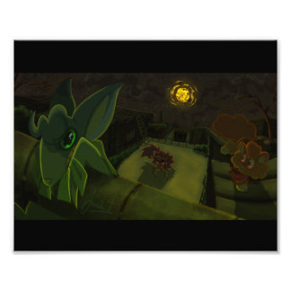 Foto Indo para a Zona