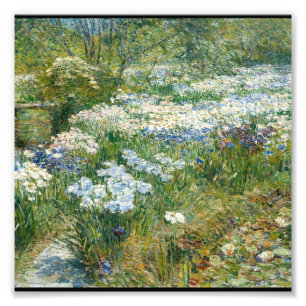 Foto Infância Hassam - Jardim da Água