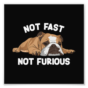 Foto Inglês Bulldog Dormindo Não Rápido Não É Fundão Fu